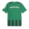 Herre Borussia Monchengladbach Udebanetrøje 2023-2024 grøn Kort ærmer-1